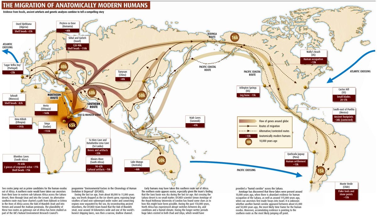 上图：科学家提出的人类走出非洲的迁徙路线。21世纪的遗传学家们通过研究线粒体DNA发现，全世界的人类基因都遗传自非洲的同一位原始母亲，并把这位母亲命名为「线粒体夏娃 Mitochondrial Eve」。